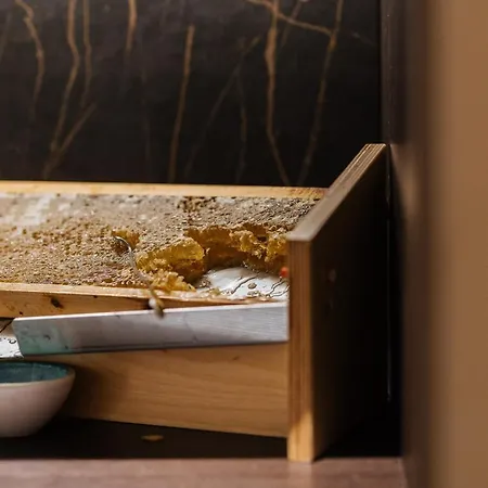 Cosmopolite Nieuwpoort-bad