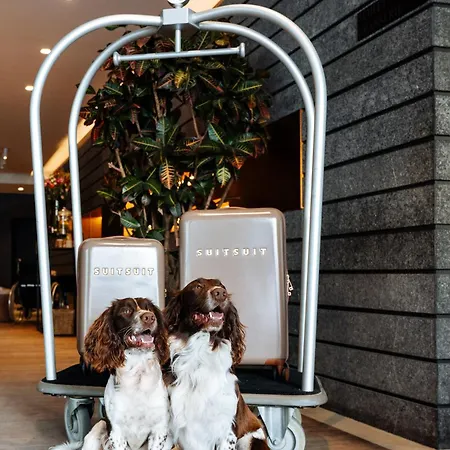 Cosmopolite Nieuwpoort-bad 4* ניופורט