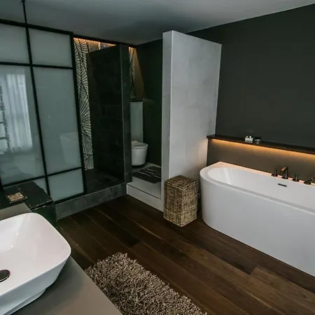 Cosmopolite Nieuwpoort-bad 4* ניופורט