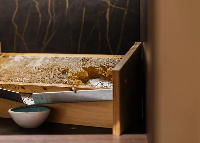 Cosmopolite Nieuwpoort-bad