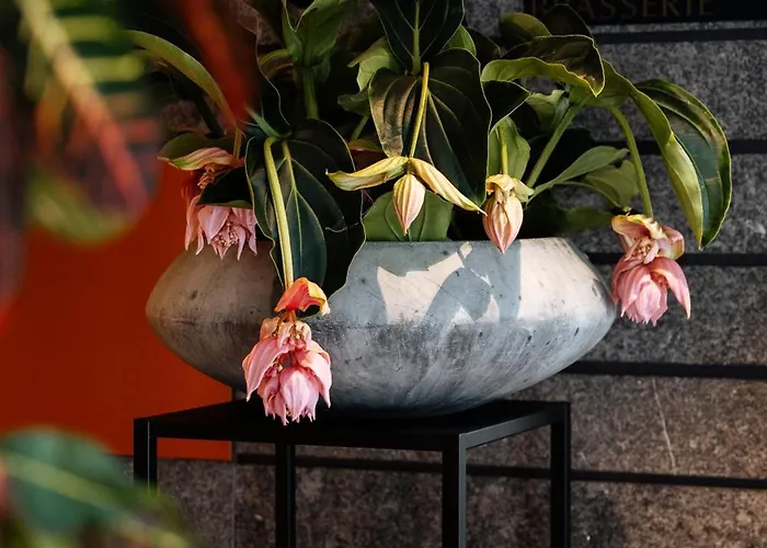 Cosmopolite Nieuwpoort-bad Nieuport