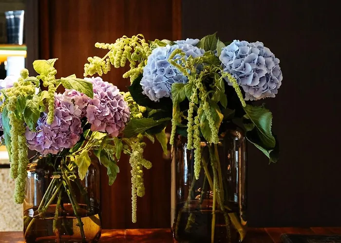 Cosmopolite Nieuwpoort-bad Hotel