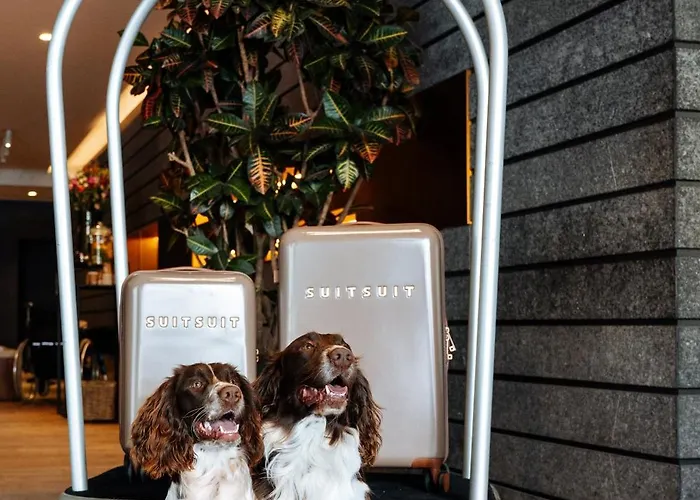 Cosmopolite Nieuwpoort-bad 4* 니우포르트